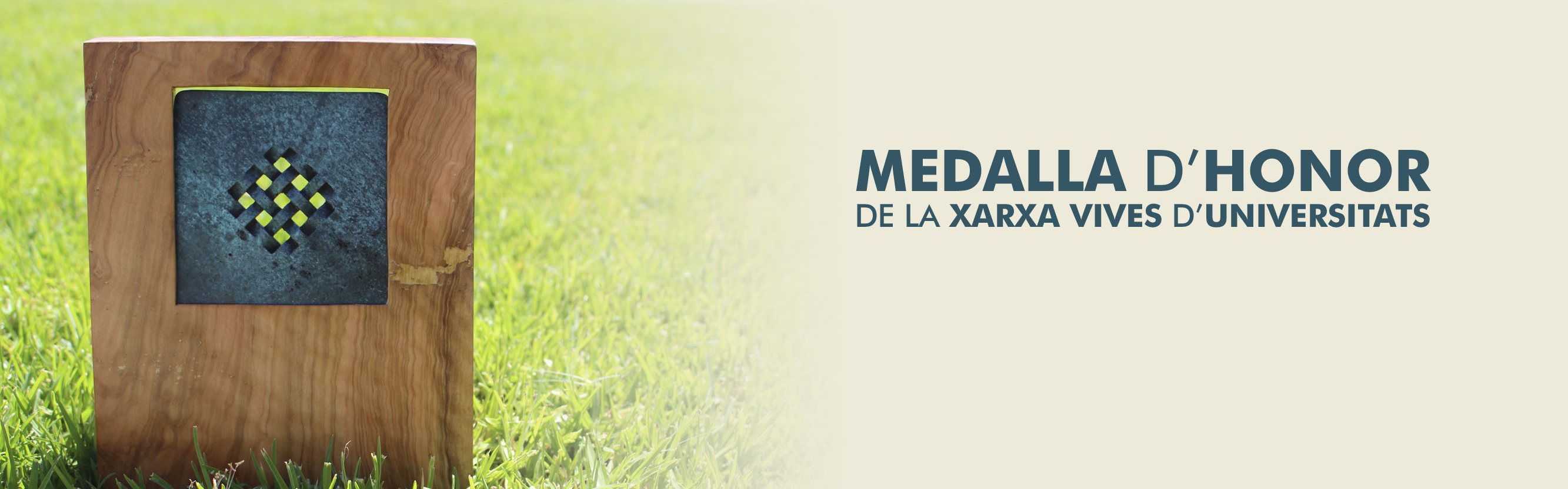 Medalla Honor Xarxa Vives