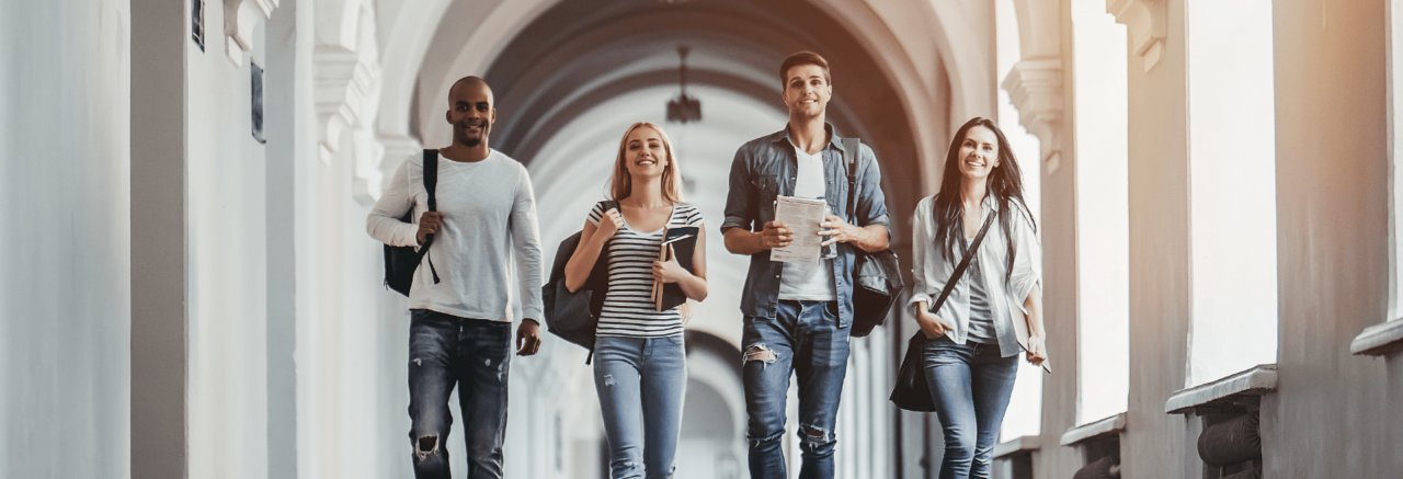 Via Universitària: Accés, condicions d’aprenentatge, expectatives i retorns dels estudis universitaris